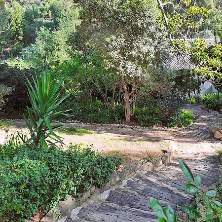 Badger'S Lodge Knysna Dış mekan fotoğraf